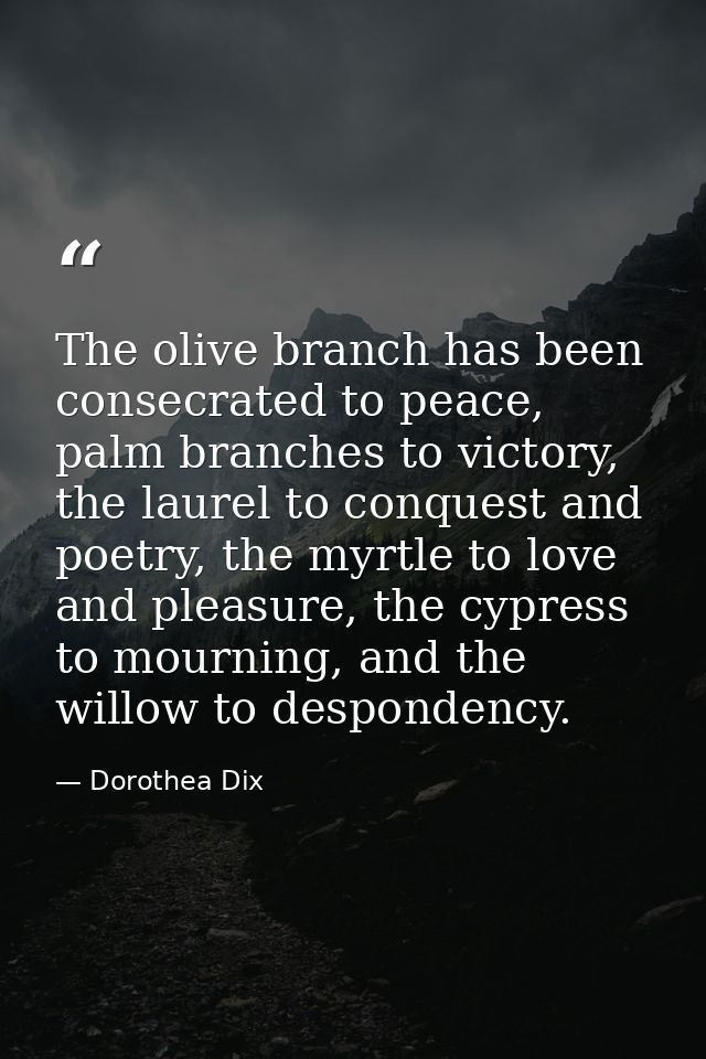 The olive branch has been consecrated to peace, palm branches to victory, the laurel to conquest and poetry, the myrtle  — Dorothea Dix