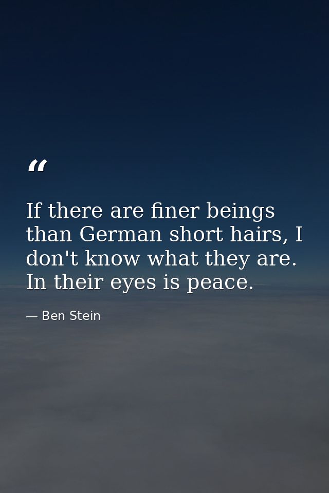 If there are finer beings than German short hairs, I don't know what they are. In their eyes is peace. — Ben Stein