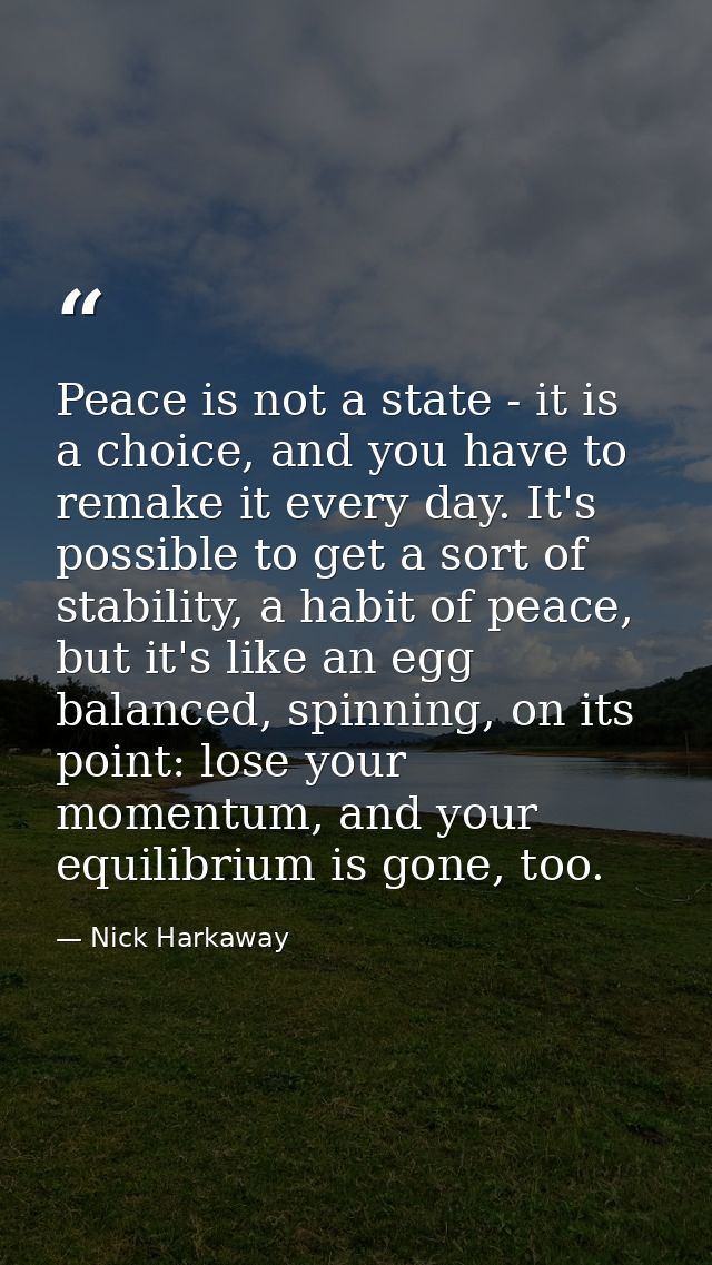 Peace is not a state - it is a choice, and you have to remake it every day. It's possible to get a sort of stability, a  — Nick Harkaway