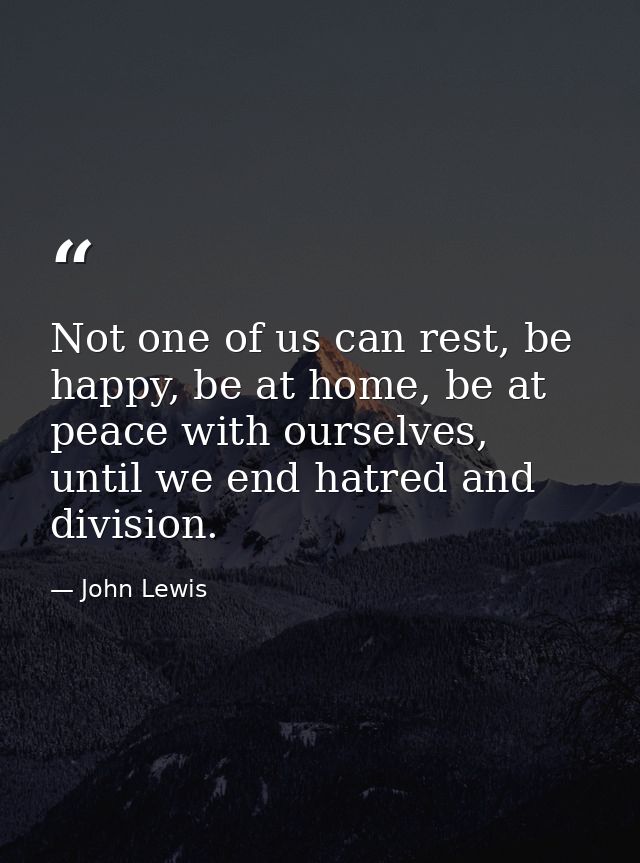 Not one of us can rest, be happy, be at home, be at peace with ourselves, until we end hatred and division. — John Lewis