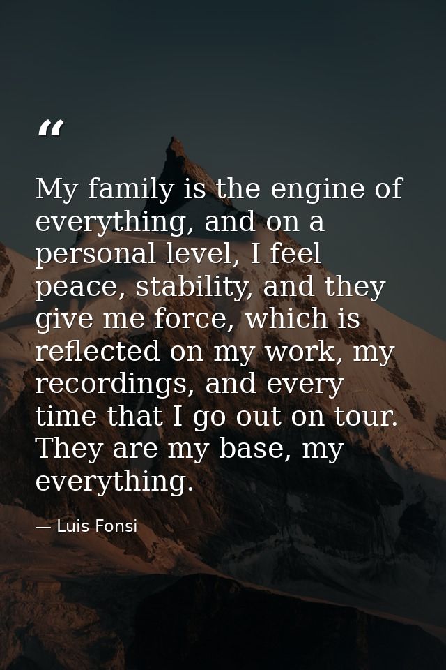 My family is the engine of everything, and on a personal level, I feel peace, stability, and they give me force, which i — Luis Fonsi
