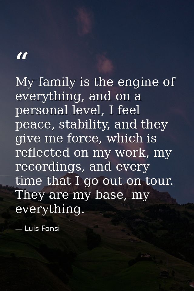My family is the engine of everything, and on a personal level, I feel peace, stability, and they give me force, which i — Luis Fonsi