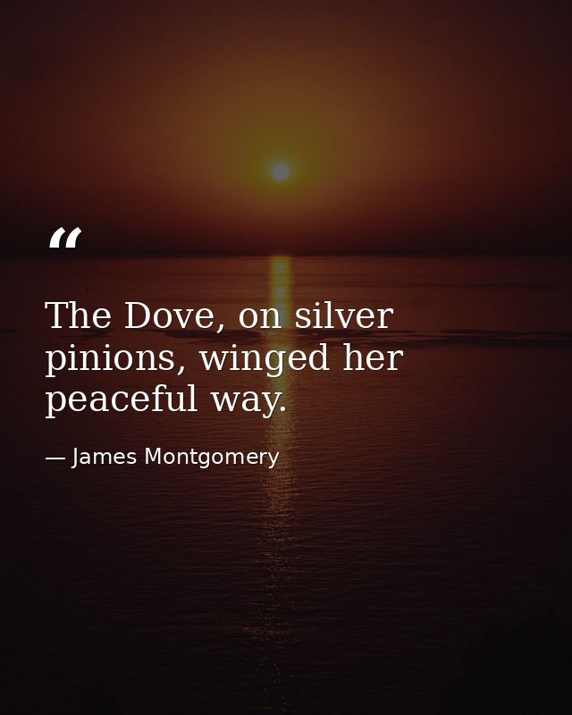 The Dove, on silver pinions, winged her peaceful way. — James Montgomery