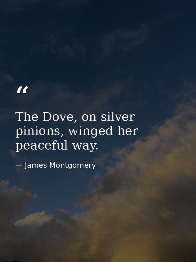 The Dove, on silver pinions, winged her peaceful way. — James Montgomery