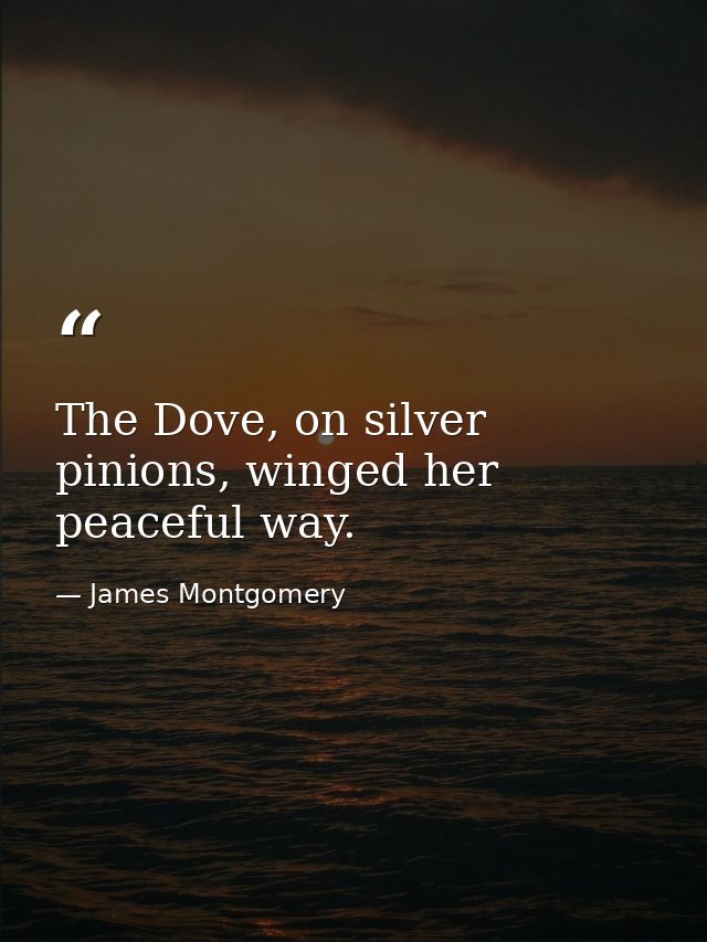 The Dove, on silver pinions, winged her peaceful way. — James Montgomery