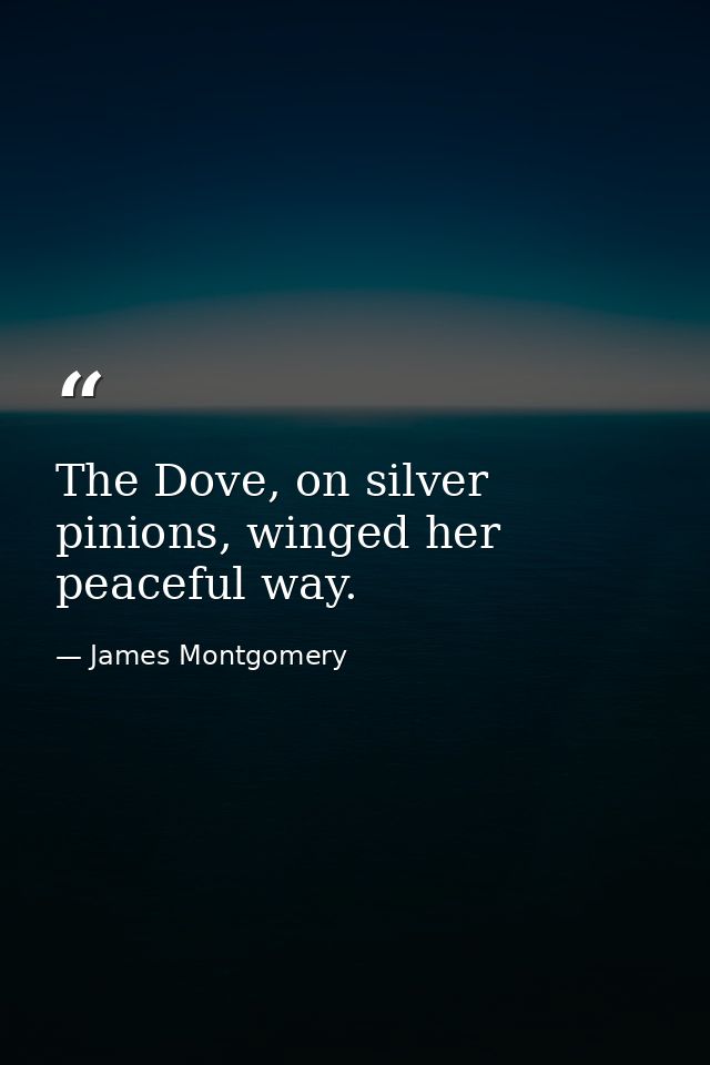 The Dove, on silver pinions, winged her peaceful way. — James Montgomery