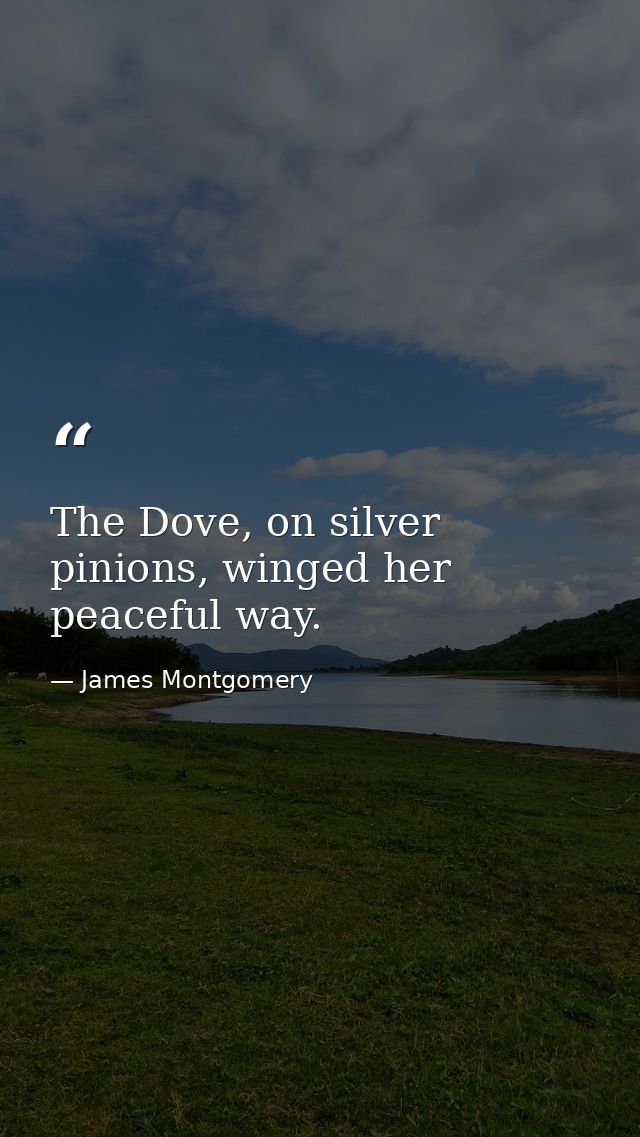 The Dove, on silver pinions, winged her peaceful way. — James Montgomery