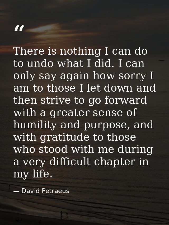 There is nothing I can do to undo what I did. I can only say again how sorry I am to those I let down and then strive to — David Petraeus