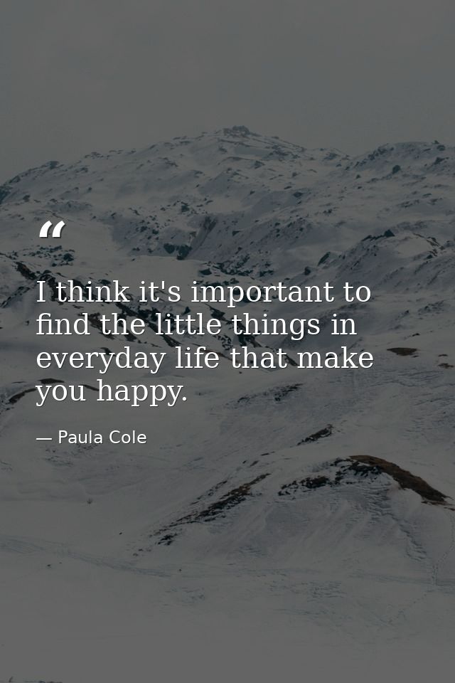 I think it's important to find the little things in everyday life that make you happy. — Paula Cole
