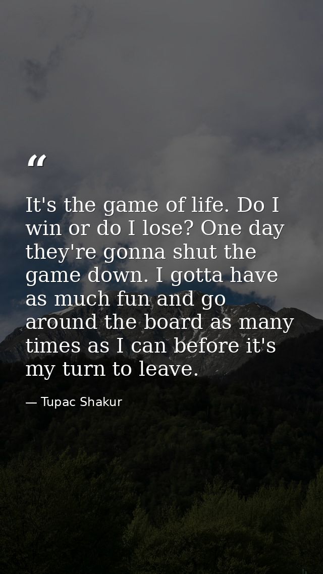 It's the game of life. Do I win or do I lose? One day they're gonna shut the game down. I gotta have as much fun and go  — Tupac Shakur