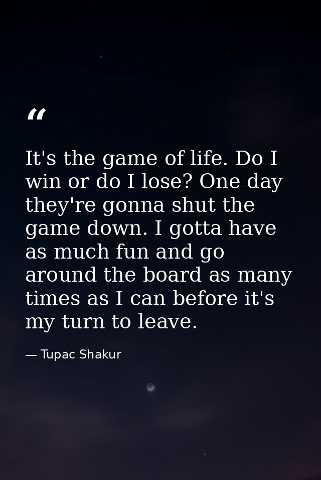It's the game of life. Do I win or do I lose? One day they're gonna shut the game down. I gotta have as much fun and go  — Tupac Shakur
