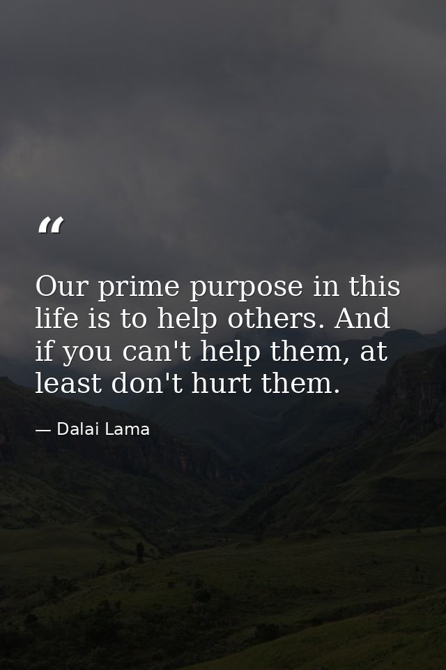 Our prime purpose in this life is to help others. And if you can't help them, at least don't hurt them. — Dalai Lama