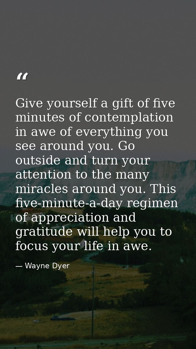 Give yourself a gift of five minutes of contemplation in awe of everything you see around you. Go outside and turn your  — Wayne Dyer