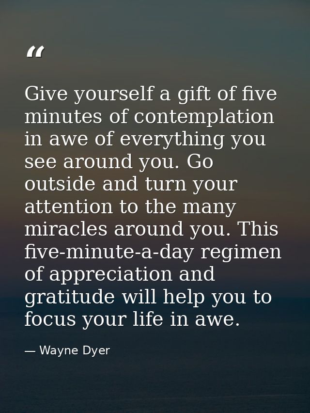 Give yourself a gift of five minutes of contemplation in awe of everything you see around you. Go outside and turn your  — Wayne Dyer