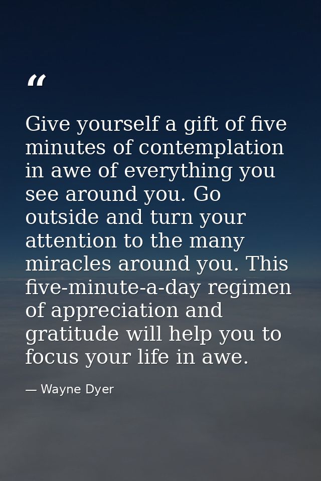 Give yourself a gift of five minutes of contemplation in awe of everything you see around you. Go outside and turn your  — Wayne Dyer
