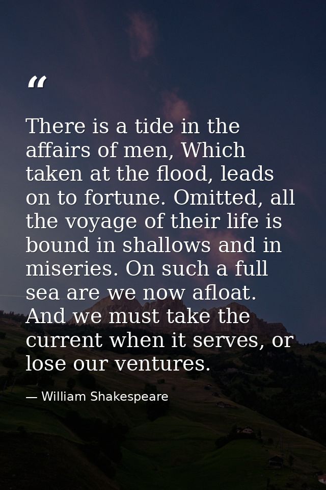 There is a tide in the affairs of men, Which taken at the flood, leads on to fortune. Omitted, all the voyage of their l — William Shakespeare