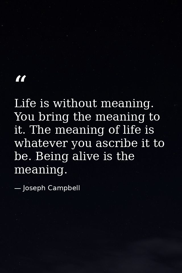 Life is without meaning. You bring the meaning to it. The meaning of life is whatever you ascribe it to be. Being alive  — Joseph Campbell
