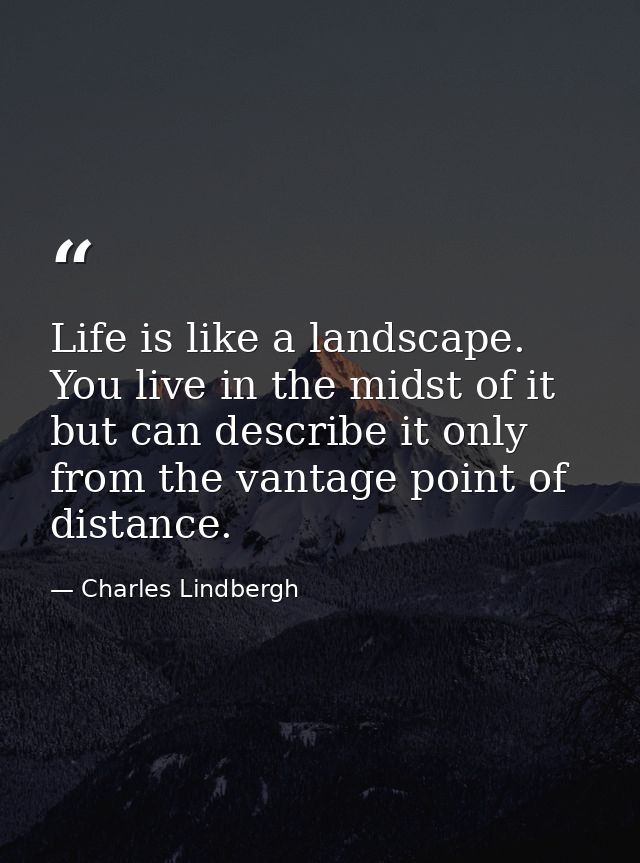Life is like a landscape. You live in the midst of it but can describe it only from the vantage point of distance. — Charles Lindbergh