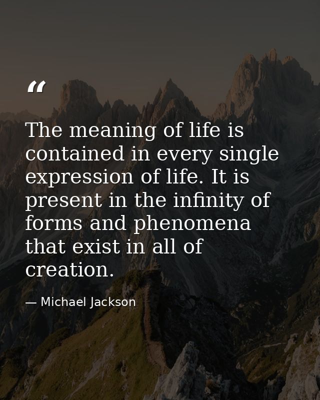 The meaning of life is contained in every single expression of life. It is present in the infinity of forms and phenomen — Michael Jackson
