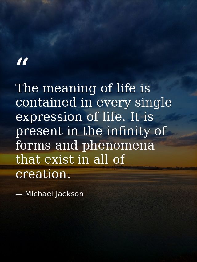 The meaning of life is contained in every single expression of life. It is present in the infinity of forms and phenomen — Michael Jackson