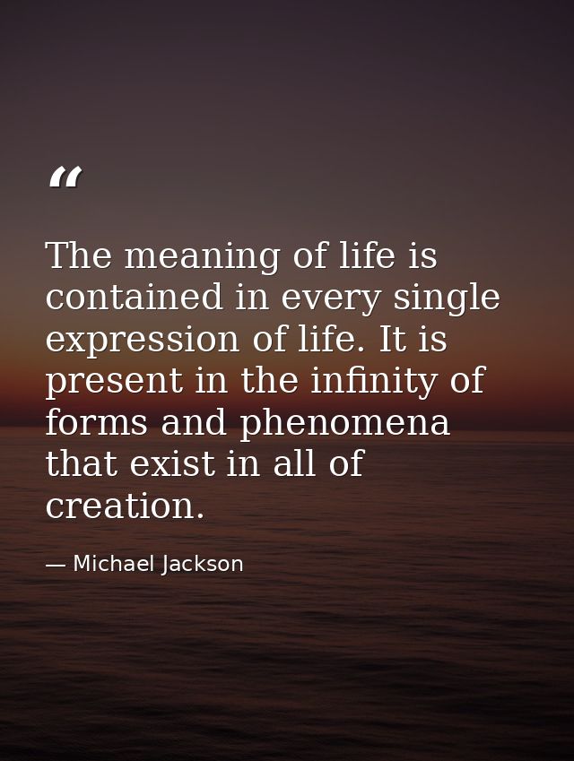 The meaning of life is contained in every single expression of life. It is present in the infinity of forms and phenomen — Michael Jackson