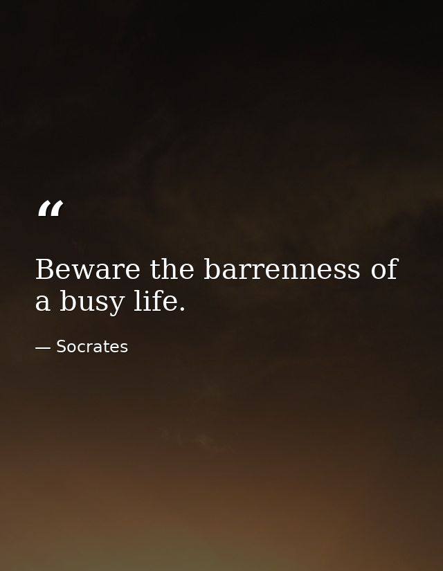 Beware the barrenness of a busy life. — Socrates