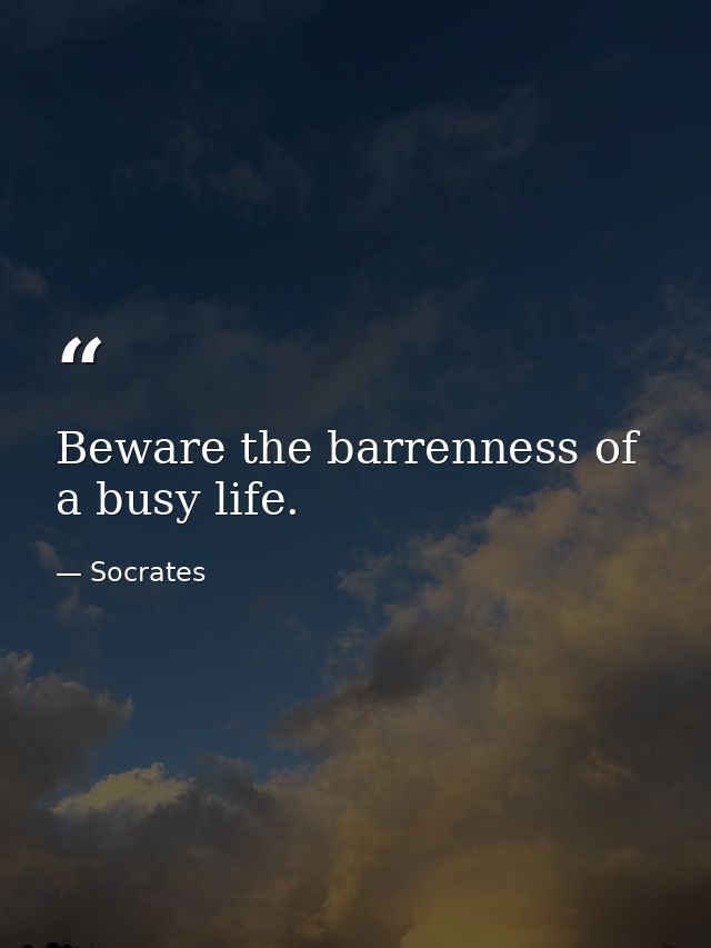 Beware the barrenness of a busy life. — Socrates