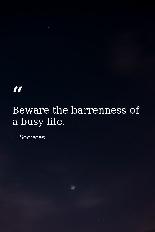 Beware the barrenness of a busy life. — Socrates