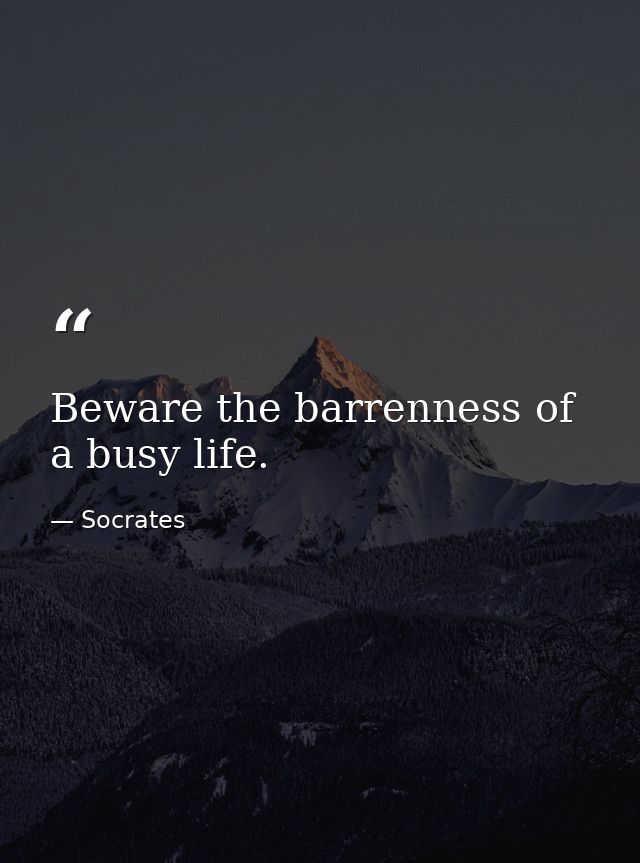 Beware the barrenness of a busy life. — Socrates