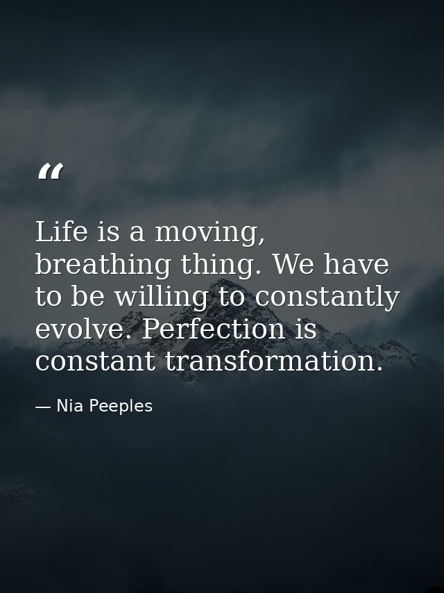 Life is a moving, breathing thing. We have to be willing to constantly evolve. Perfection is constant transformation. — Nia Peeples
