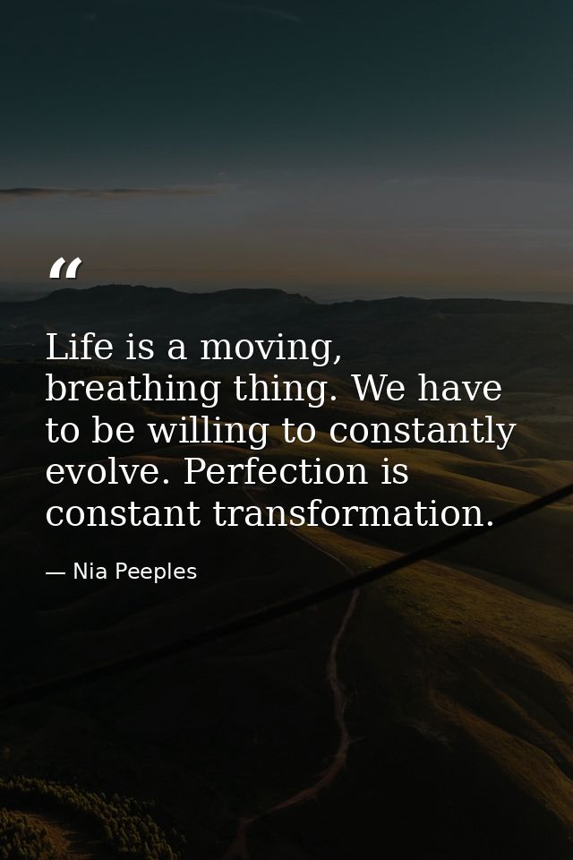 Life is a moving, breathing thing. We have to be willing to constantly evolve. Perfection is constant transformation. — Nia Peeples