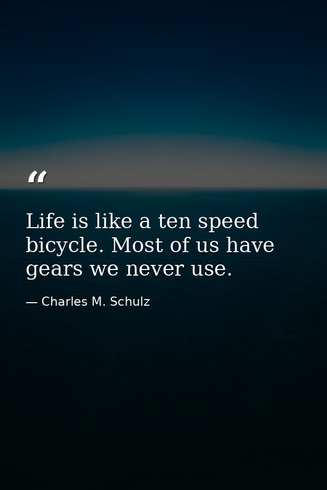 Life is like a ten speed bicycle. Most of us have gears we never use. — Charles M. Schulz