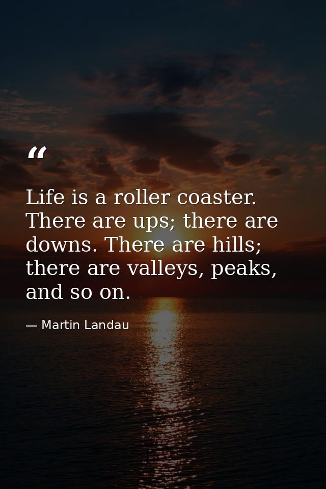 Life is a roller coaster. There are ups; there are downs. There are hills; there are valleys, peaks, and so on. — Martin Landau