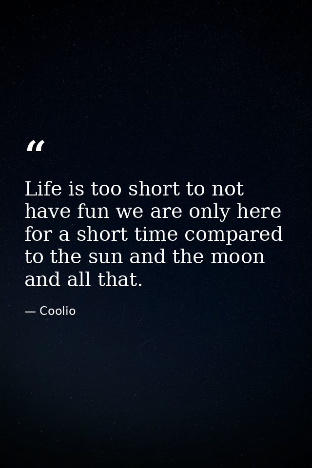 Life is too short to not have fun we are only here for a short time compared to the sun and the moon and all that. — Coolio