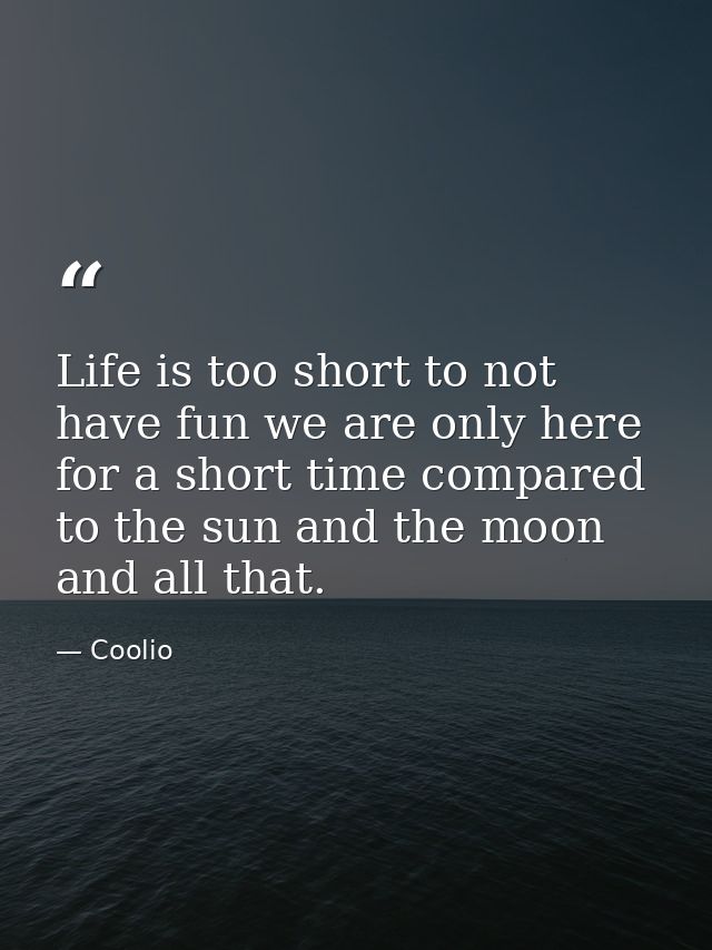 Life is too short to not have fun we are only here for a short time compared to the sun and the moon and all that. — Coolio