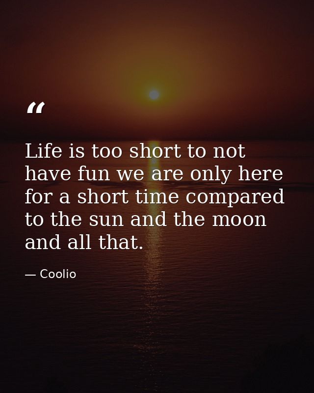 Life is too short to not have fun we are only here for a short time compared to the sun and the moon and all that. — Coolio
