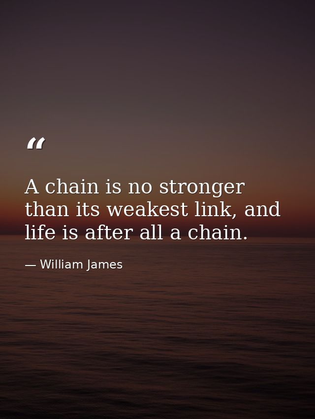 A chain is no stronger than its weakest link, and life is after all a chain. — William James