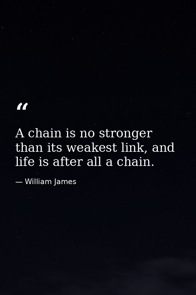 A chain is no stronger than its weakest link, and life is after all a chain. — William James