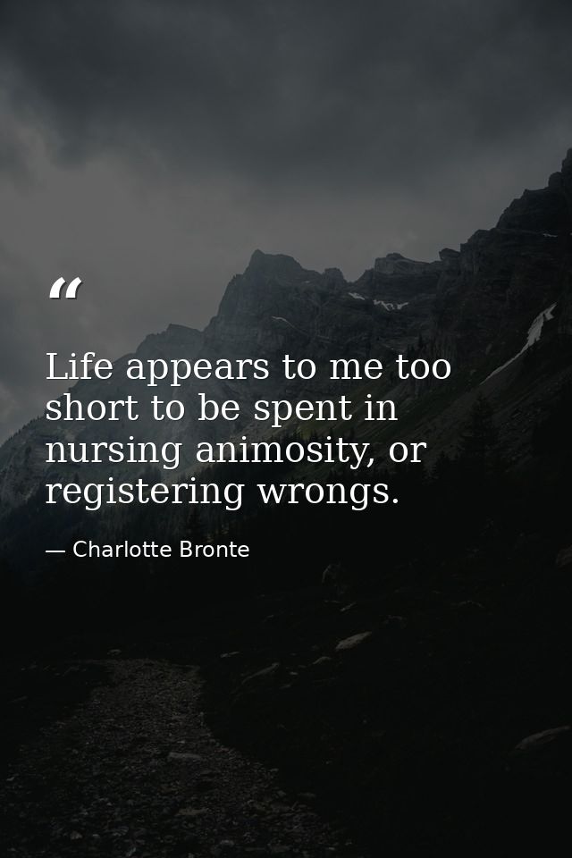 Life appears to me too short to be spent in nursing animosity, or registering wrongs. — Charlotte Bronte