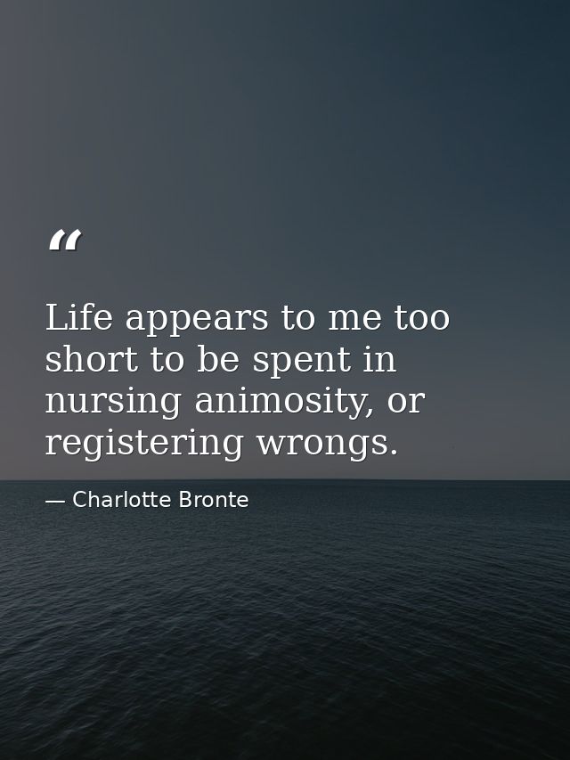 Life appears to me too short to be spent in nursing animosity, or registering wrongs. — Charlotte Bronte