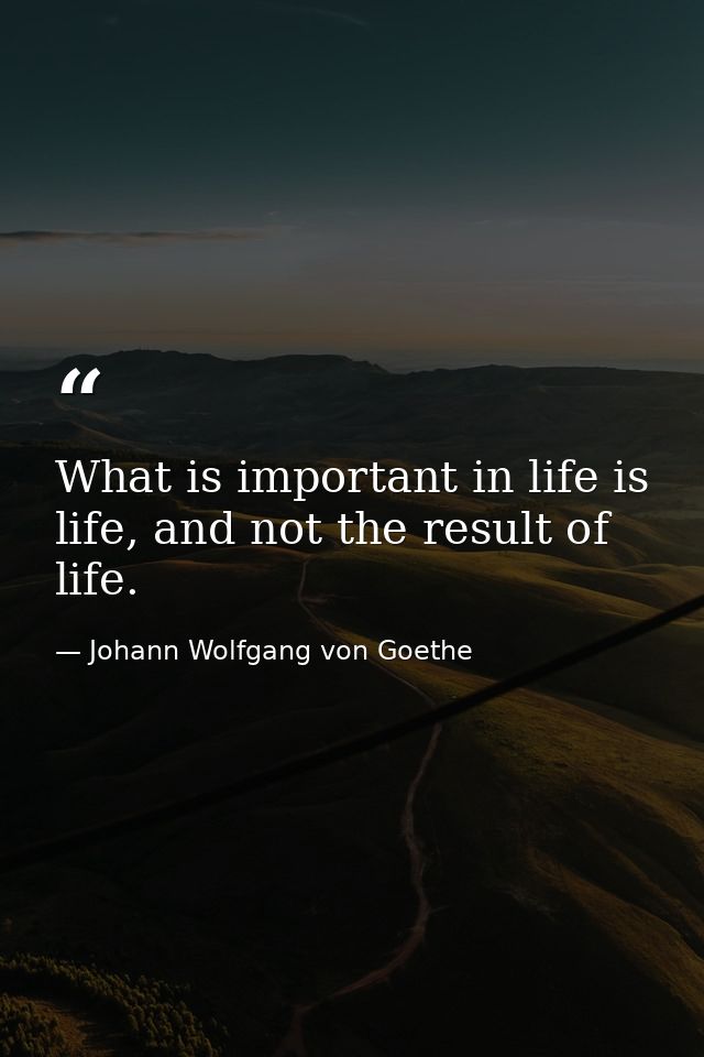 What is important in life is life, and not the result of life. — Johann Wolfgang von Goethe