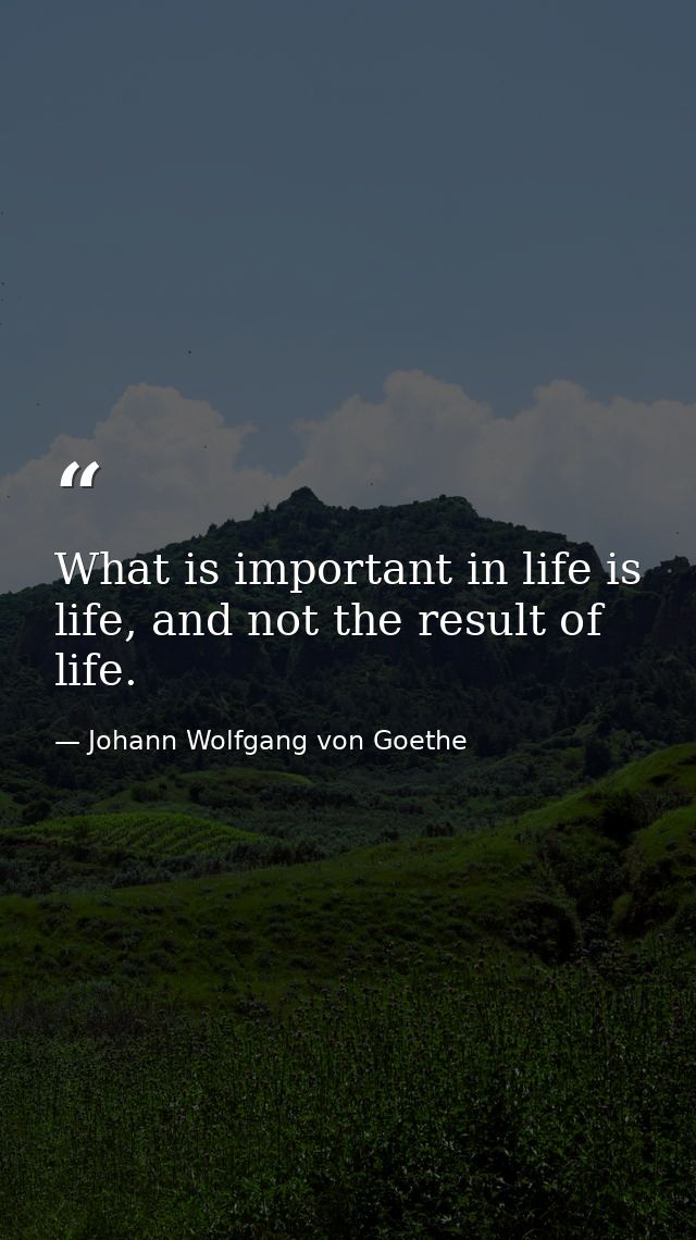 What is important in life is life, and not the result of life. — Johann Wolfgang von Goethe