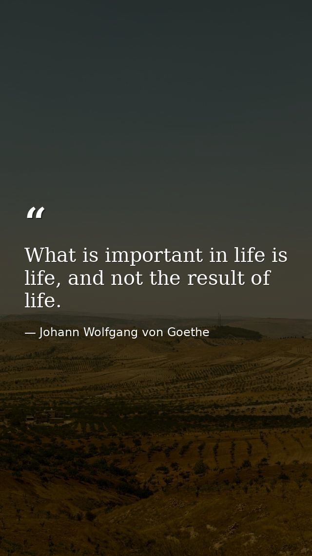 What is important in life is life, and not the result of life. — Johann Wolfgang von Goethe
