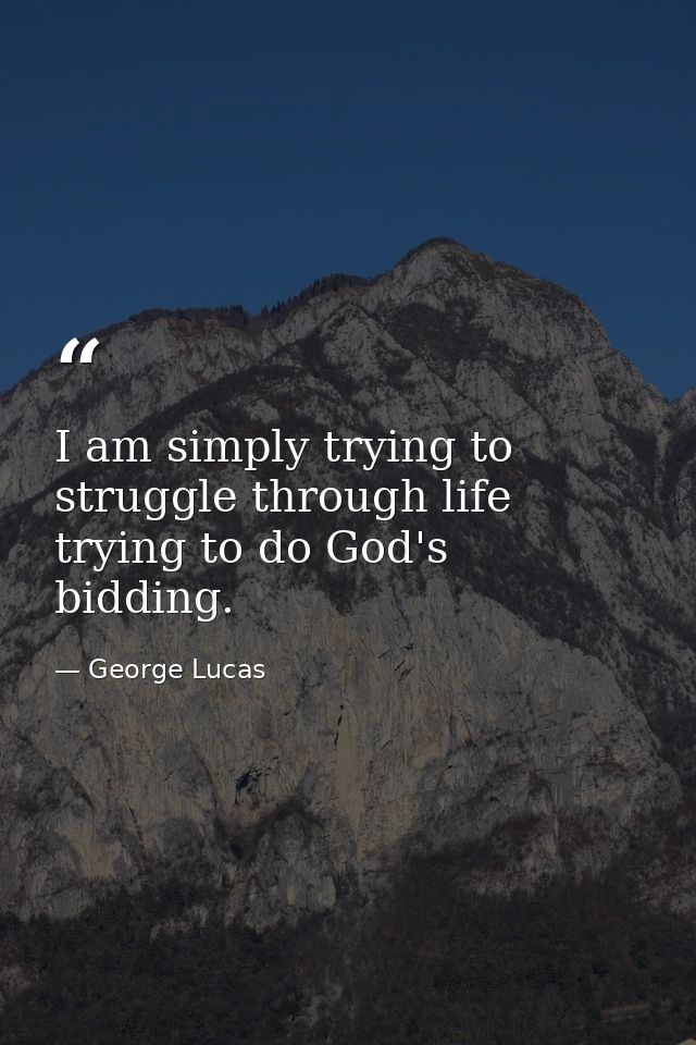 I am simply trying to struggle through life trying to do God's bidding. — George Lucas