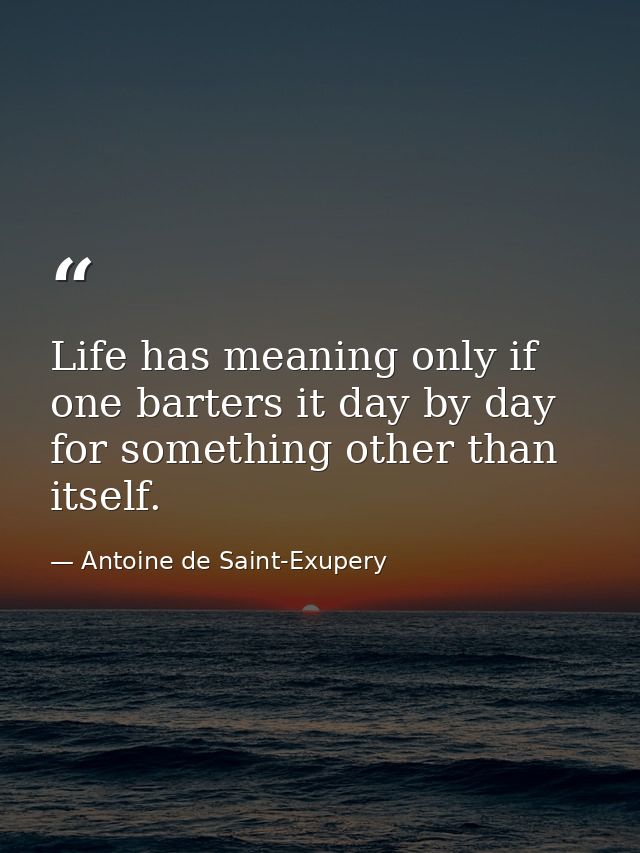 Life has meaning only if one barters it day by day for something other than itself. — Antoine de Saint-Exupery