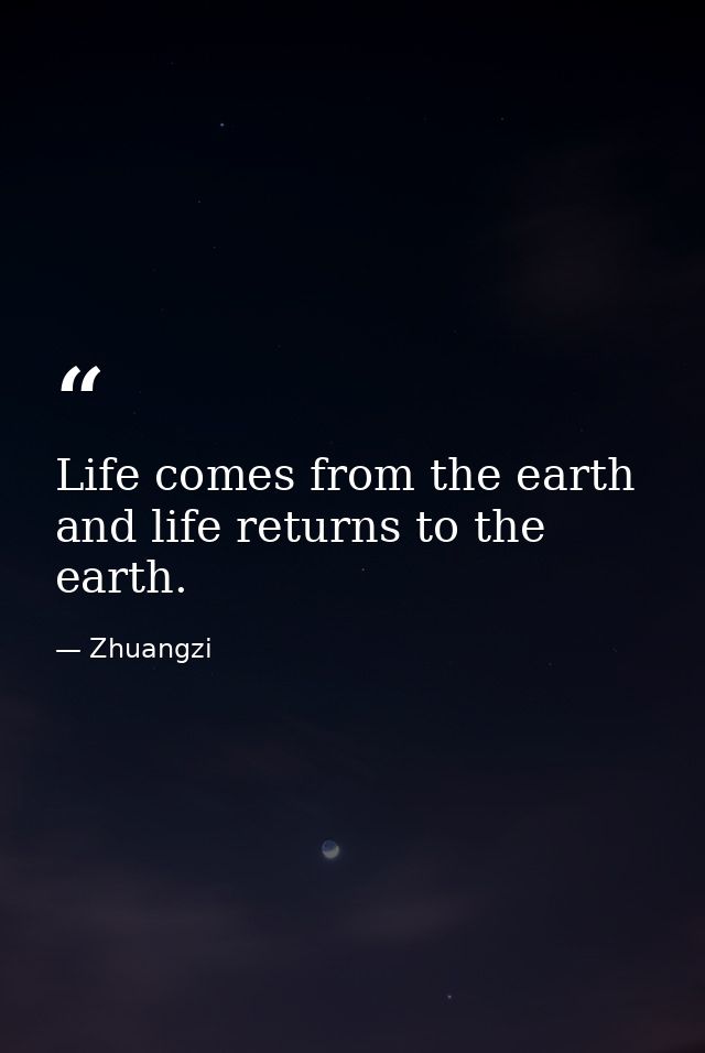 Life comes from the earth and life returns to the earth. — Zhuangzi