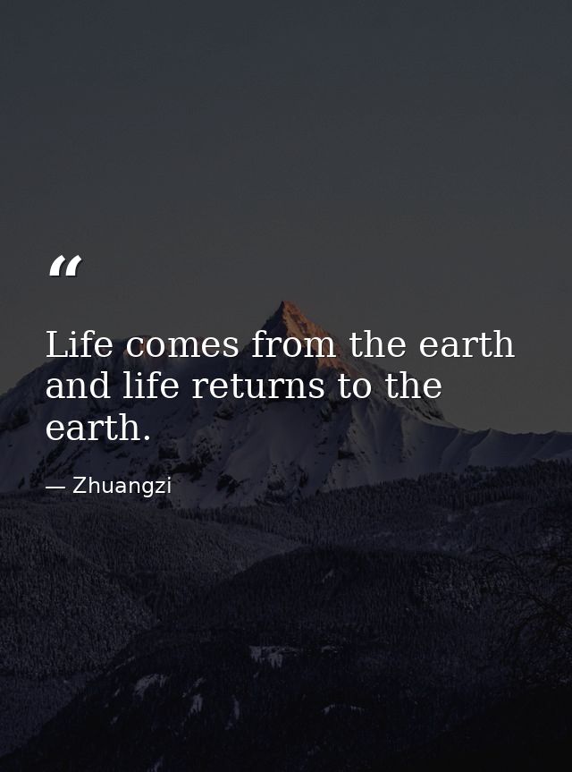 Life comes from the earth and life returns to the earth. — Zhuangzi