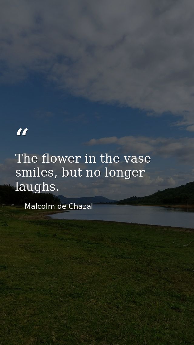The flower in the vase smiles, but no longer laughs. — Malcolm de Chazal