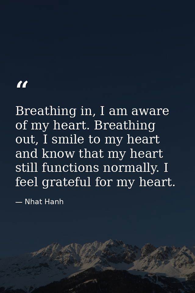 Breathing in, I am aware of my heart. Breathing out, I smile to my heart and know that my heart still functions normally — Nhat Hanh