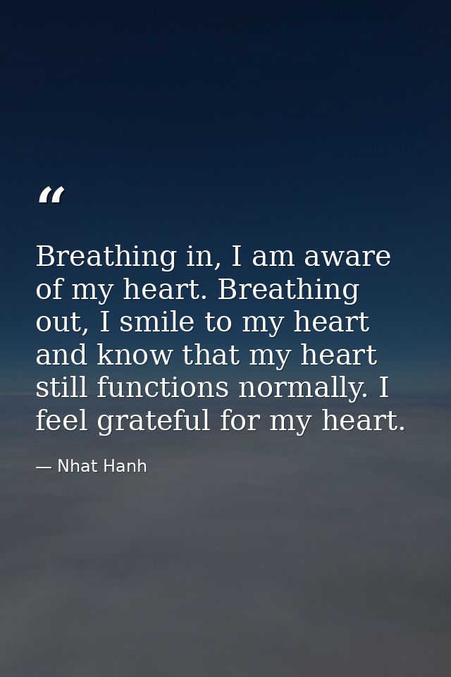 Breathing in, I am aware of my heart. Breathing out, I smile to my heart and know that my heart still functions normally — Nhat Hanh